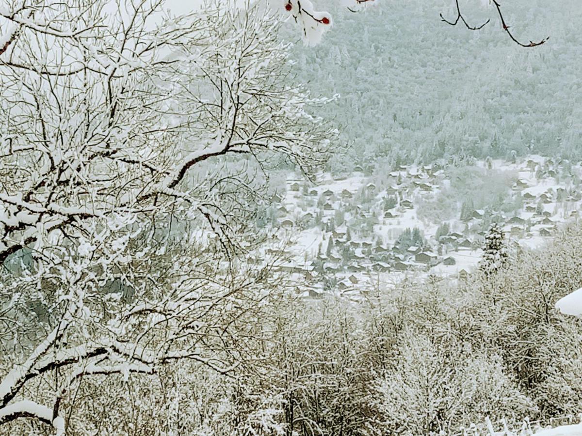 Le Chalet Du Blanc Spa Yoga Aillon-le-Jeune Kültér fotó