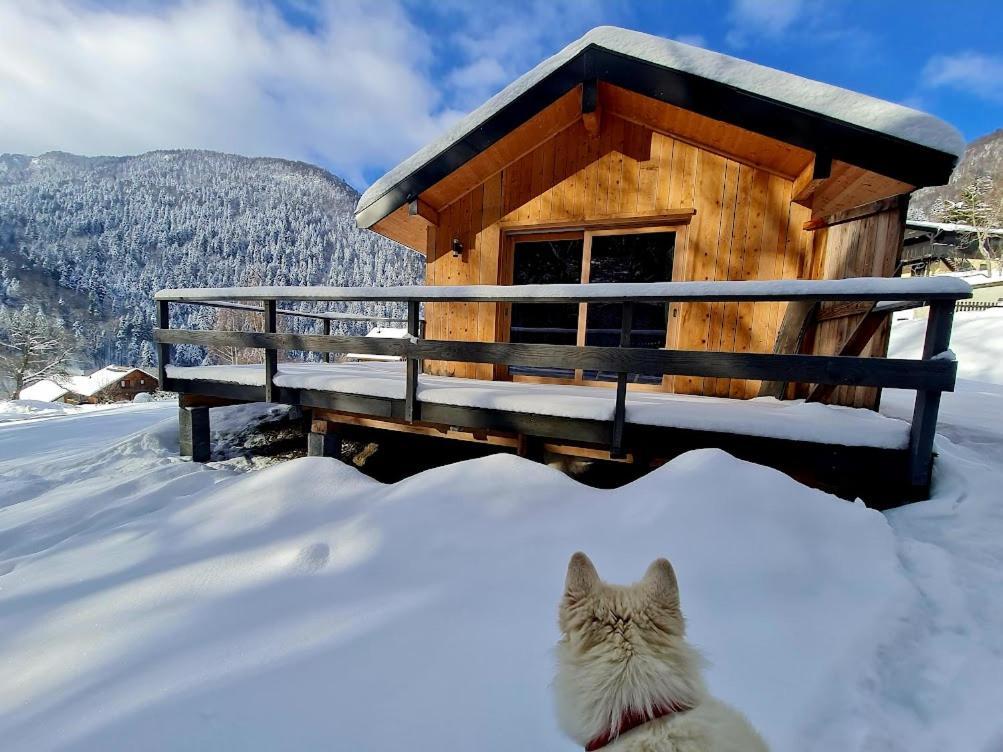 Le Chalet Du Blanc Spa Yoga Aillon-le-Jeune Kültér fotó