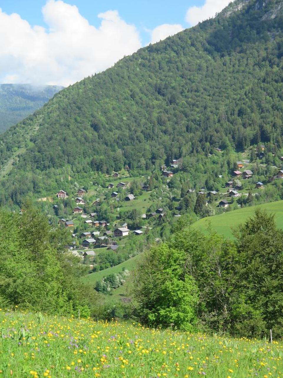 Le Chalet Du Blanc Spa Yoga Aillon-le-Jeune Kültér fotó
