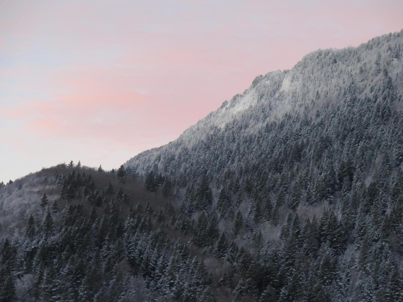 Le Chalet Du Blanc Spa Yoga Aillon-le-Jeune Kültér fotó